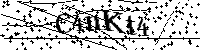 Typ hieronder de letters en cijfers